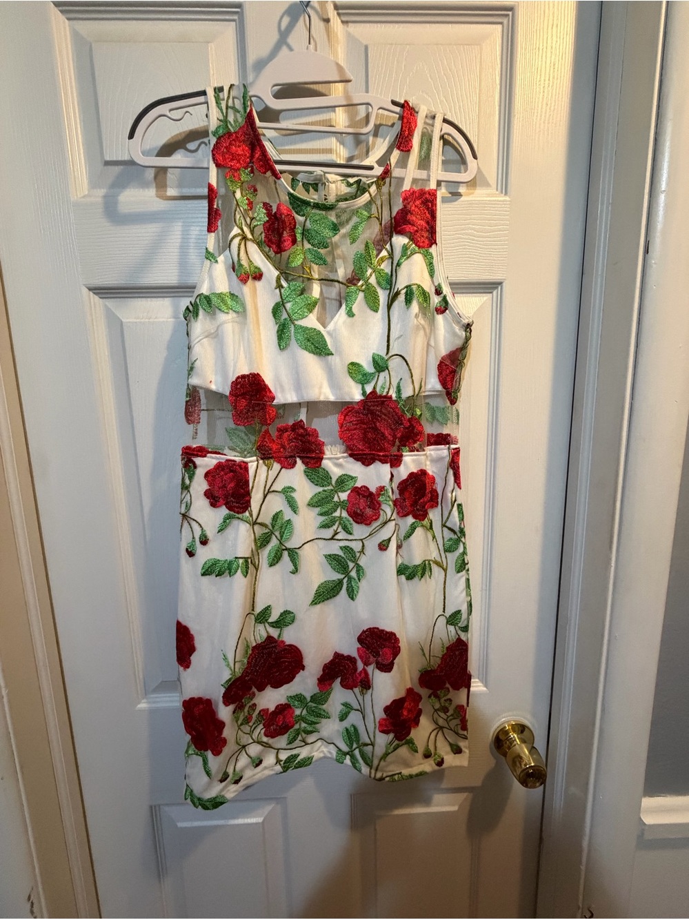 Dygarni California White Red Rose Embroidered Mesh Mini Dress L